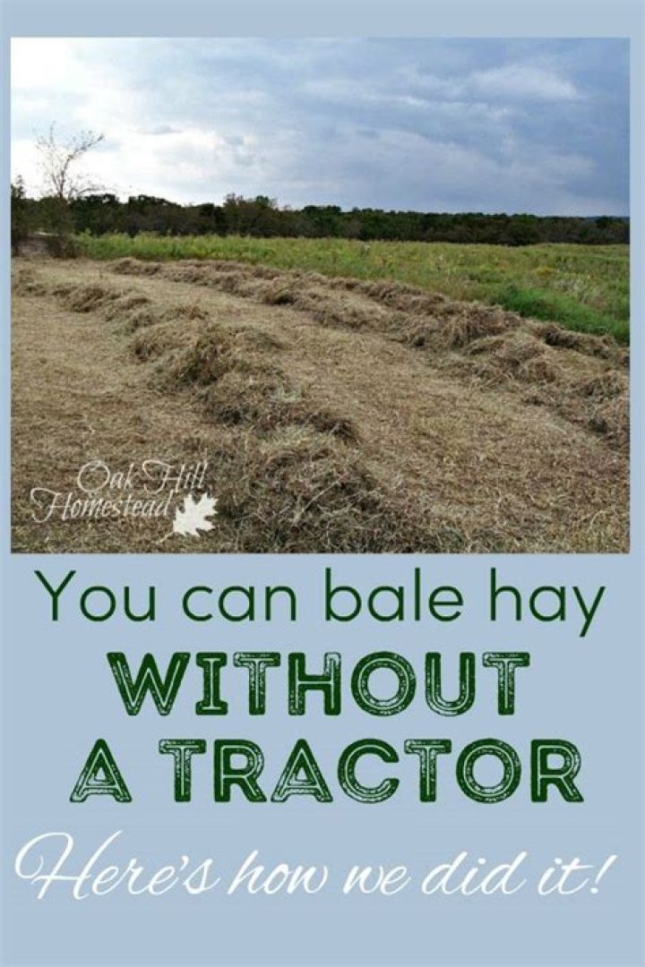 Can you cut and bale hay the same day?