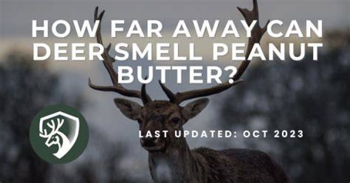 Do deer like the smell of peanut butter?