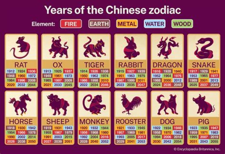 Do the Chinese skin animals alive?