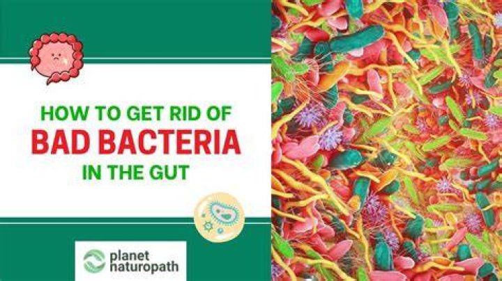 How do you get rid of gut bacteria?