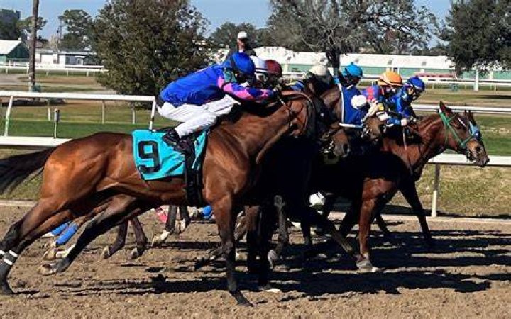 How fast do jockeys go?