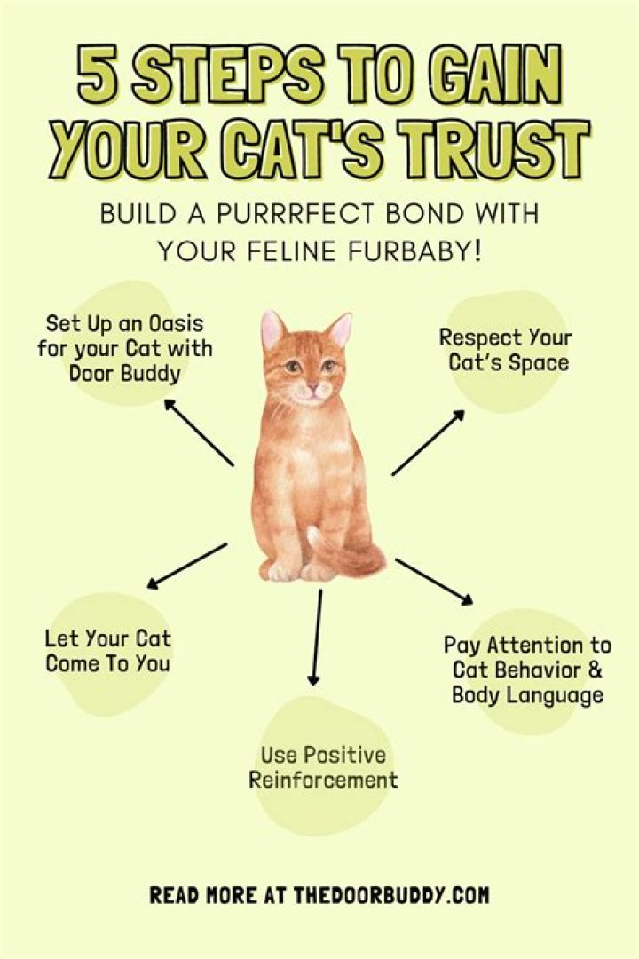 How long does it take for an adopted cat to trust you?
