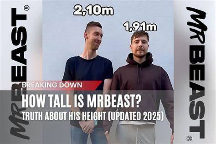 How tall is Zach from MrBeast?