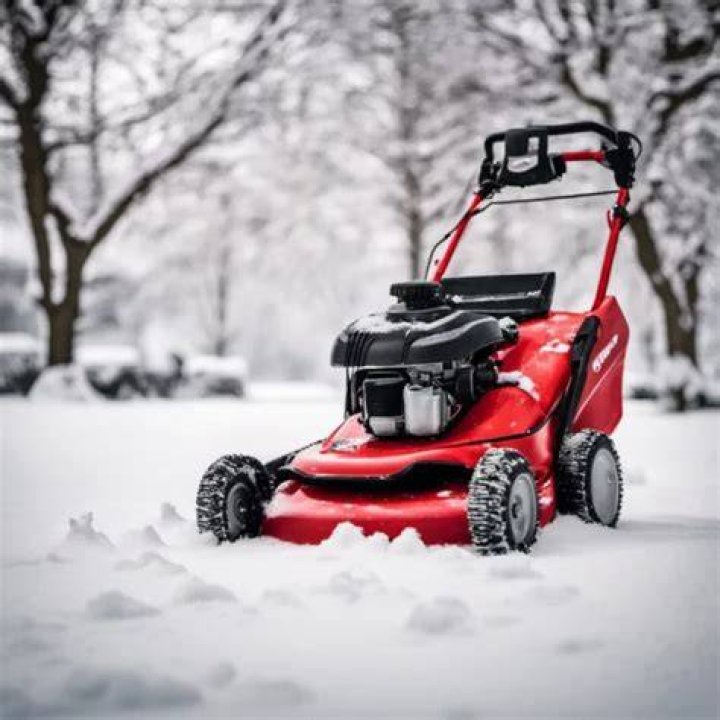 Should you run lawn mower dry for winter?