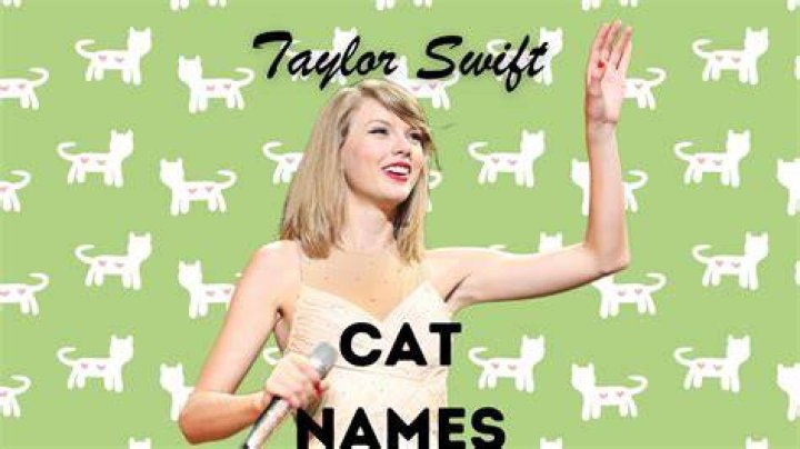 What are Taylor Swift's cats names?