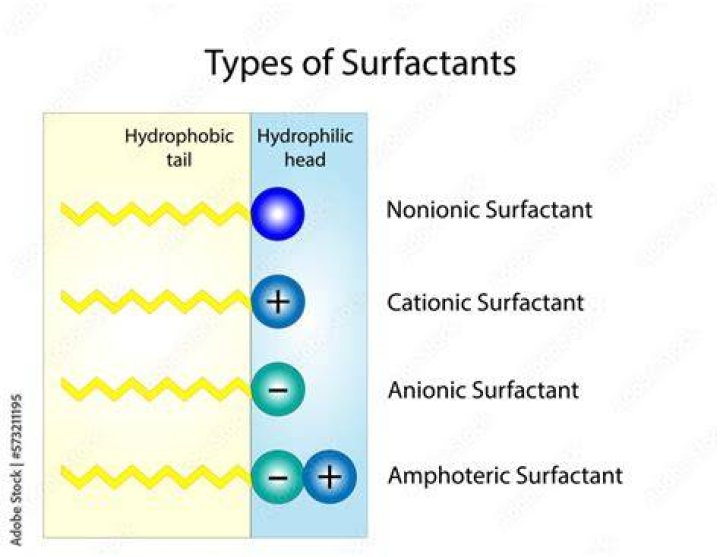What is the most natural surfactant?
