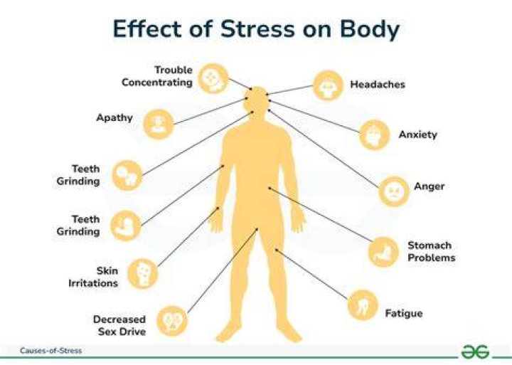What stress does to your face?