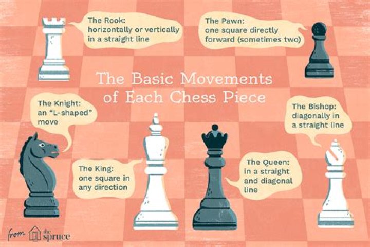 Which is the most important piece on board in chess?