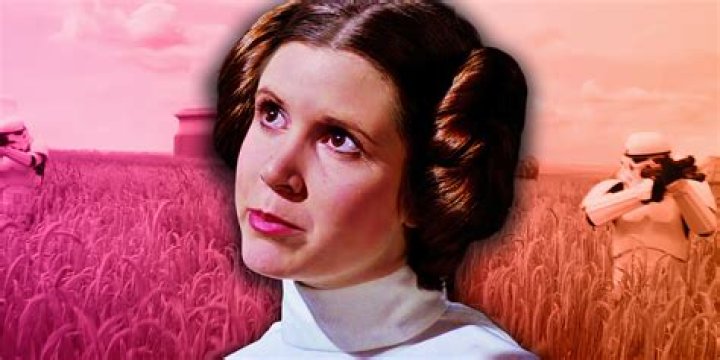 Who took Princess Leia as a baby?
